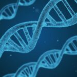 dna-ga32d2abe8_1280